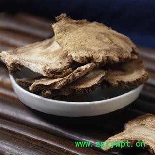 独活 肉独活 别称-长生草 独滑图2