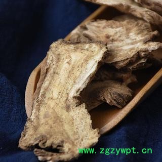 独活 肉独活 别称-长生草 独滑图3