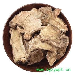 独活 肉独活 别称-长生草 独滑图4