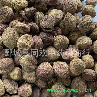 【壳砂 国产阳春砂仁】@【同欢药材】中药材批发供应  规格齐全 量大从优 产地 云南省图2