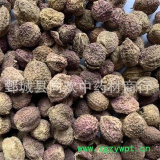 【壳砂 国产阳春砂仁】@【同欢药材】中药材批发供应  规格齐全 量大从优 产地 云南省图3