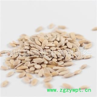 【甜瓜子】@【同欢药材】中药材批发供应 规格齐全 量大从优  产地 山东省图2