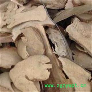 圣草康园岗梅根 大片 地下部分产地 广西壮族自治区玉林市容县图2