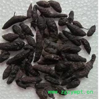 圣草康园中药材 香附 香附米、雀头香、莎草根 香附 香附 香附子图2