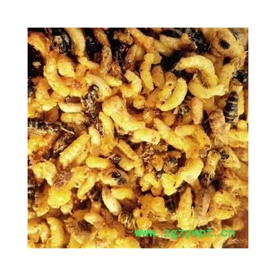 雄蜂蛹 干品（小盐水）地蜂子