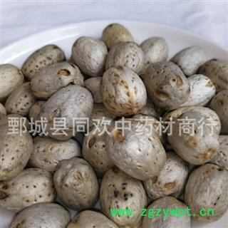【南酸枣 五眼果】@【同欢药材】中药材批发供应 规格齐全 量大从优  产地 海南省图3