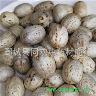 【南酸枣 五眼果】@【同欢药材】中药材批发供应 规格齐全 量大从优  产地 海南省图2