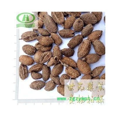 世元药业 壳砂 正品 砂仁 进口 小豆蔻