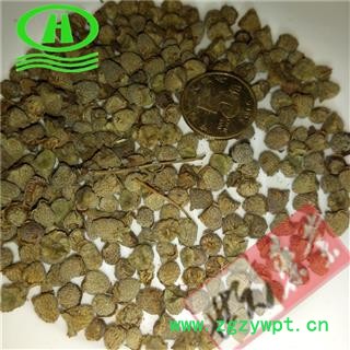 世元药业 覆盆子 中粒覆盆子 经济实惠 适合药店诊所 覆盆 乌藨子 小托盘图2