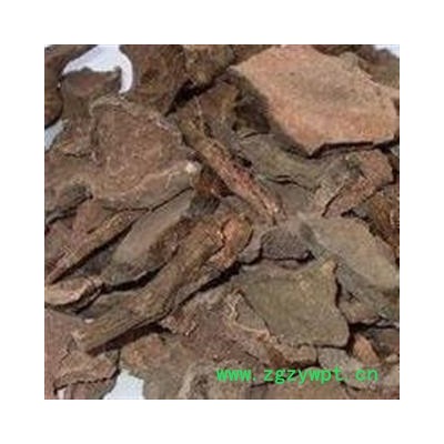 圣草康园岩陀 毛青红 红姜 野黄姜