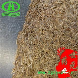 世元药业 孜然 正品 新货 精选 味浓 食药两用 调料 香旱芹 马芹图3