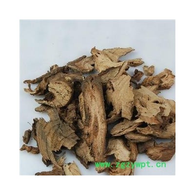 圣草康园 苎麻根 家苎麻 野麻 白麻 园麻 青麻 苎根 苘麻根