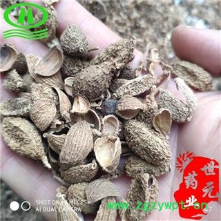 世元药业 砂仁壳 别称 进口砂壳 砂仁皮 壳砂壳 缩砂壳图2