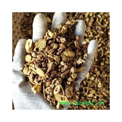 黄芩 大统 产地 山西省