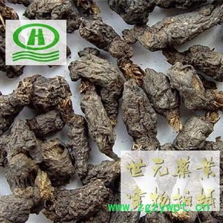 世元药业 天葵子 正品 别称 紫背天葵根 天葵草 千年老鼠屎 金耗子【全品除尘中药】图2