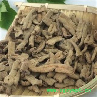 巴戟天 巴戟肉压扁个 产地 广西壮族自治区图2