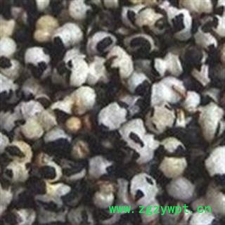 世元药业 王不留行 开花 精选图3