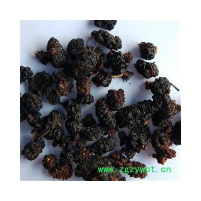 桑葚子净货 质量好 价格低