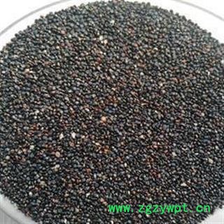 水红花子 水红花子净货 支持打粉 产地 山东省图2