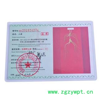 山参野山参礼盒款參形完整，25年參龄，參重约20克礼盒高档正规国检证书农业部图4