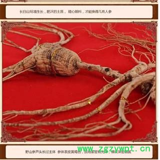 山参野山参礼盒款參形完整，25年參龄，參重约20克礼盒高档正规国检证书农业部图2