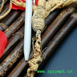 林下山参20年以上 长白山山参 无人为粘接  完整根须图2