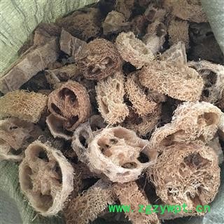 丝瓜络 大段 自家种的 自家切的 干净 太阳晒干的产地 山东省图2