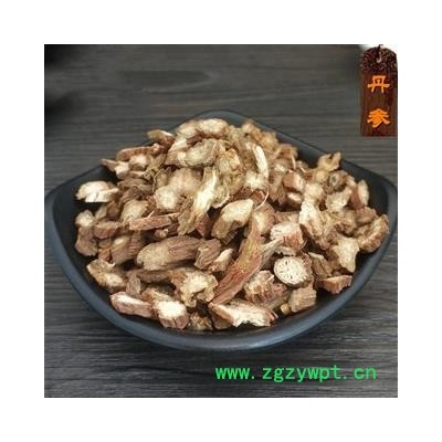 丹参  山东丹参 紫丹参