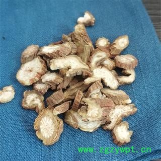 丹参  山东丹参 紫丹参图3