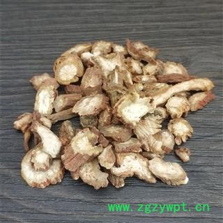 丹参  山东丹参 紫丹参图4