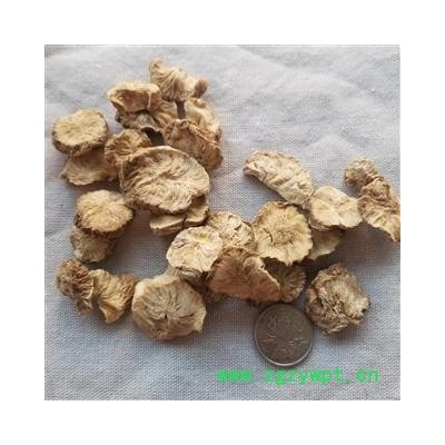 九盛堂中药材 菊苣根 毛菊苣根 菊巨 苦苣 苦菜 卡斯尼 皱叶苦苣 明目菜 咖啡萝卜 咖啡草 硕参