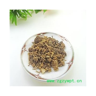 珠儿参 中药材 珠子参 扣子七 扣子七