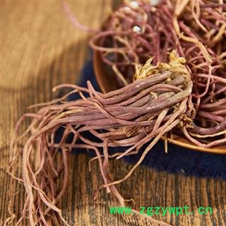 紫苑 紫菀 子菀 子苑 青菀 返魂草根图2