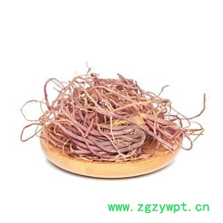 紫苑 紫菀 子菀 子苑 青菀 返魂草根图4