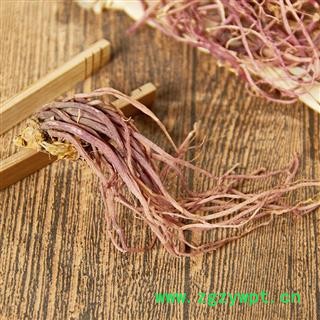 紫苑 紫菀 子菀 子苑 青菀 返魂草根图3