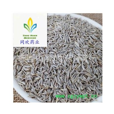 【白生菜籽 白巨胜 莴苣子】@【同欢药材】中药材批发供应 产地 河北省