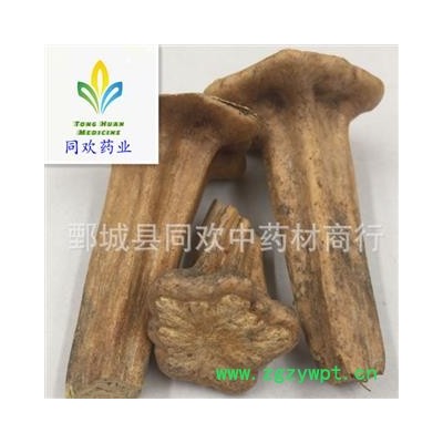 【南瓜蒂】@【同欢药材】中药材批发供应 规格齐全 量大从优  产地 山东省