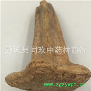 【南瓜蒂】@【同欢药材】中药材批发供应 规格齐全 量大从优  产地 山东省图2