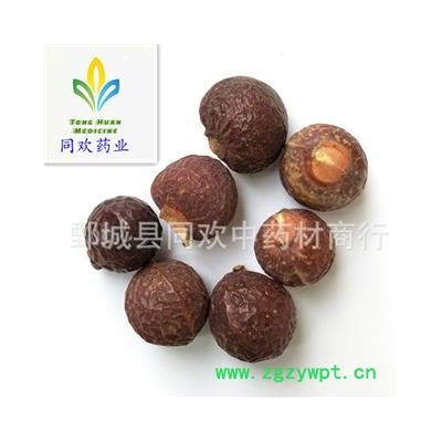 【无患子】@【同欢药材】中药材批发供应 规格齐全 量大从优  产地 四川省