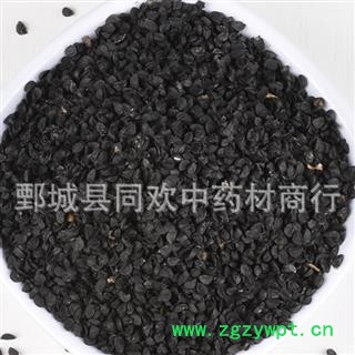 【葱子】@【同欢药材】中药材批发供应  规格齐全 量大从优  产地 河南省图2