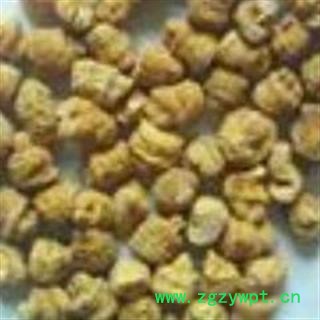 圣草康园 西洋参 西洋参米参西洋参压力 西洋参颗粒  无硫纯手工加工0.3-0.5克图3