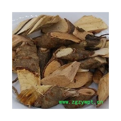 圣草康园 盐肤木 盐霜根 盐霜柏 五倍子根 盐肤木根片