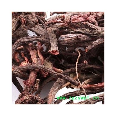 圣草康园小红参 滇紫参 小活血 小红药