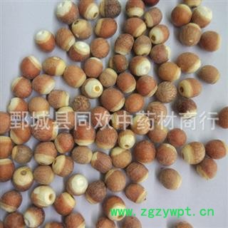 【选装芡实个】@【同欢药材】中药材批发供应  规格齐全 量大从优 产地 广东省图3