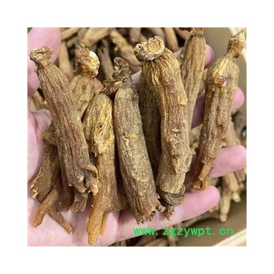 圣草康园高丽参吉林吉安高丽参30头左右无糖6年根