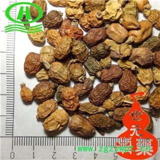 世元药业 红豆蔻 优质 大良姜 山姜 红蔻 红寇 红扣图2