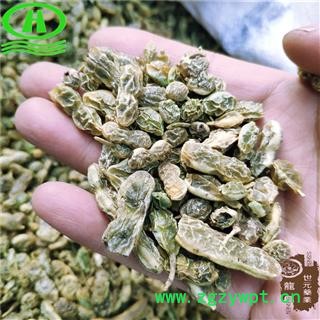 世元药业 槐角 新货原色 槐实 槐子 槐豆 天豆 槐连豆 金药树 护房树 国槐籽图2