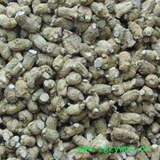 西洋参 西洋参圆粒5-6克图2