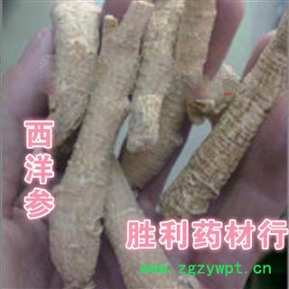 西洋参  西洋参长条10-12克左右长约7-10公分直径1.2公分图2