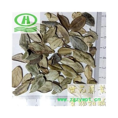 世元药业 越橘叶 熊果叶 正品 新货 促销
